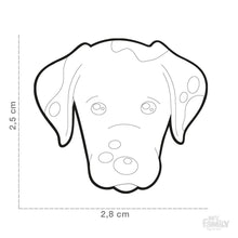 Charger l&#39;image dans la galerie, Médaille pour chien collection Friends, DALMATIEN - Boutique Le Jardin Des Animaux -médailleBoutique Le Jardin Des AnimauxMF08
