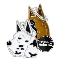Charger l&#39;image dans la galerie, Médaille pour chien collection Friends, DANOIS, Couleurs variées - Boutique Le Jardin Des Animaux -médailleBoutique Le Jardin Des AnimauxMF01
