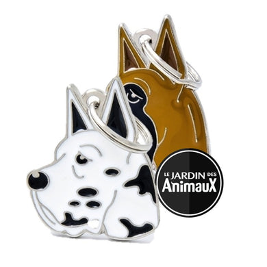 Médaille pour chien collection Friends, DANOIS, Couleurs variées - Boutique Le Jardin Des Animaux -médailleBoutique Le Jardin Des AnimauxMF01