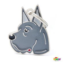Charger l&#39;image dans la galerie, Médaille pour chien collection Friends, DANOIS, Couleurs variées - Boutique Le Jardin Des Animaux -médailleBoutique Le Jardin Des AnimauxMF01
