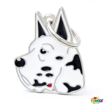 Charger l&#39;image dans la galerie, Médaille pour chien collection Friends, DANOIS, Couleurs variées - Boutique Le Jardin Des Animaux -médailleBoutique Le Jardin Des AnimauxMF01ARLE
