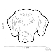 Charger l&#39;image dans la galerie, Médaille pour chien collection Friends, FLAT COAT RETRIEVER - Boutique Le Jardin Des Animaux -médailleBoutique Le Jardin Des AnimauxMF103
