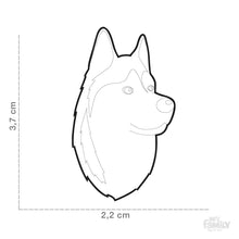 Charger l&#39;image dans la galerie, Médaille pour chien collection Friends, HUSKY, Couleurs variées - Boutique Le Jardin Des Animaux -médailleBoutique Le Jardin Des AnimauxMF13
