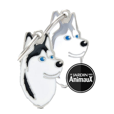Médaille pour chien collection Friends, HUSKY, Couleurs variées - Boutique Le Jardin Des Animaux -médailleBoutique Le Jardin Des AnimauxMF13
