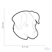 Charger l&#39;image dans la galerie, Médaille pour chien collection Friends, JACK RUSSELL, couleurs variées - Boutique Le Jardin Des Animaux -médailleBoutique Le Jardin Des AnimauxMF25ORANGE
