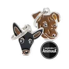 Charger l&#39;image dans la galerie, Médaille pour chien collection Friends, PINSCHER, couleurs variées - Boutique Le Jardin Des Animaux -médailleBoutique Le Jardin Des AnimauxMF26BLACK
