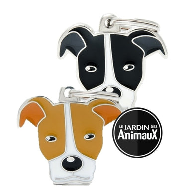 Médaille pour chien collection Friends, PITBULL, Couleurs variées - Boutique Le Jardin Des Animaux -médailleBoutique Le Jardin Des AnimauxMF06