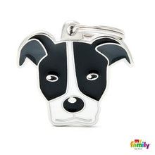 Charger l&#39;image dans la galerie, Médaille pour chien collection Friends, PITBULL, Couleurs variées - Boutique Le Jardin Des Animaux -médailleBoutique Le Jardin Des AnimauxMF06WHITEBLACK
