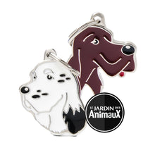 Charger l&#39;image dans la galerie, Médaille pour chien collection Friends, SETTER, Couleurs variées - Boutique Le Jardin Des Animaux -médailleBoutique Le Jardin Des AnimauxMF28ENGLISH
