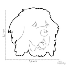 Charger l&#39;image dans la galerie, Médaille pour chien collection Friends, TERRE-NEUVE - Boutique Le Jardin Des Animaux -médailleBoutique Le Jardin Des AnimauxMF17
