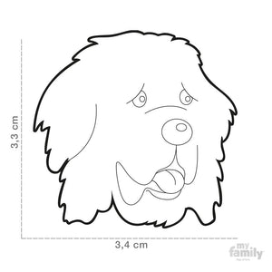 Médaille pour chien collection Friends, TERRE-NEUVE - Boutique Le Jardin Des Animaux -médailleBoutique Le Jardin Des AnimauxMF17