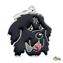 Charger l&#39;image dans la galerie, Médaille pour chien collection Friends, TERRE-NEUVE - Boutique Le Jardin Des Animaux -médailleBoutique Le Jardin Des AnimauxMF17
