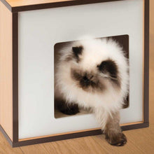 Charger l&#39;image dans la galerie, Meuble Box Vesper Petit – noyer, arbre à chat - Boutique Le Jardin Des Animaux -Griffoir, meuble et litBoutique Le Jardin Des Animaux
