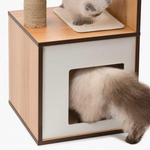 Meuble Box Vesper Petit – noyer, arbre à chat - Boutique Le Jardin Des Animaux -Griffoir, meuble et litBoutique Le Jardin Des Animaux