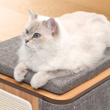 Charger l&#39;image dans la galerie, Meuble Cubo Tower Vesper – gris, arbre à chat - Boutique Le Jardin Des Animaux -Griffoir, meuble et litBoutique Le Jardin Des Animaux52094
