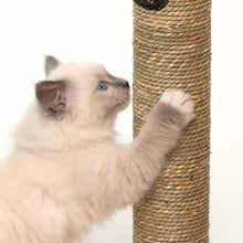 Charger l&#39;image dans la galerie, Meuble High Base Vesper – chêne, arbre à chat - Boutique Le Jardin Des Animaux -Griffoir, meuble et litBoutique Le Jardin Des Animaux52042
