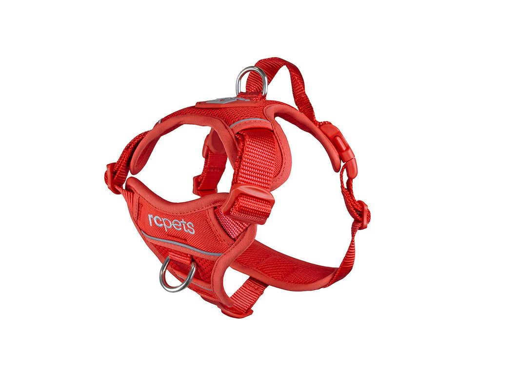 RC Pet Harnais de contrôle Momentum Goji