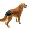 Load image into Gallery viewer, Savic Comfort Nappy couche de chien - Boutique Le Jardin Des Animaux -SoinsBoutique Le Jardin Des Animauxd-3380

