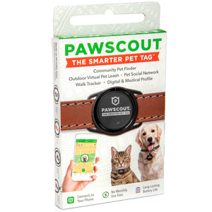 PawScout - Médaille intelligente